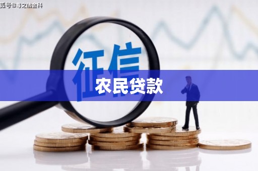芦山农民贷款
