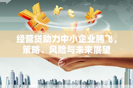 芦山经营贷助力中小企业腾飞，策略、风险与未来展望