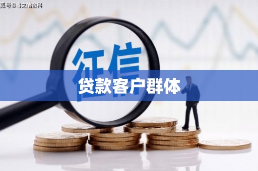 芦山贷款客户群体
