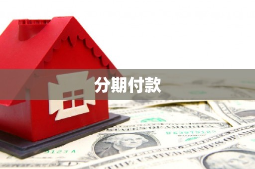 芦山分期付款