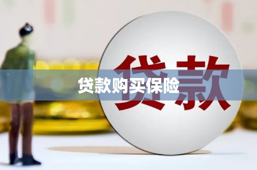 芦山贷款购买保险