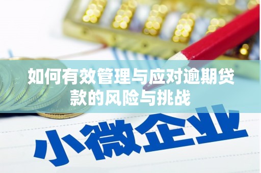 芦山如何有效管理与应对逾期贷款的风险与挑战