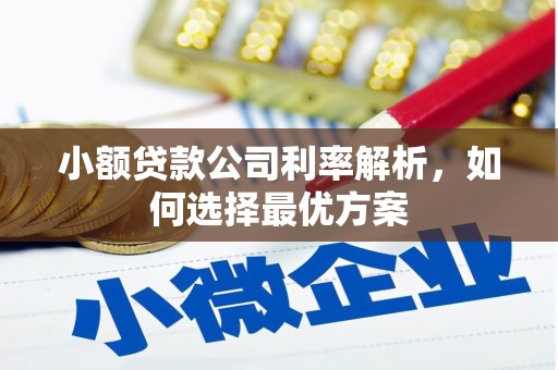 芦山小额贷款公司利率解析，如何选择最优方案