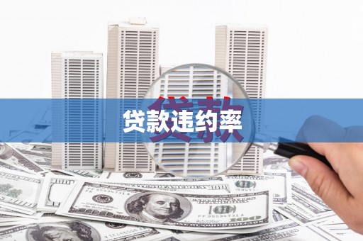 芦山贷款违约率