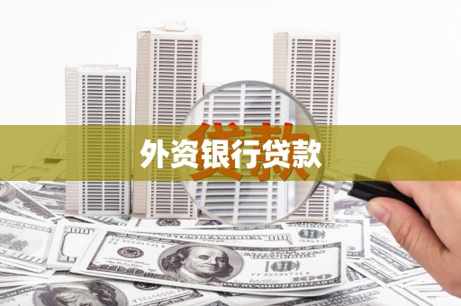 芦山外资银行贷款