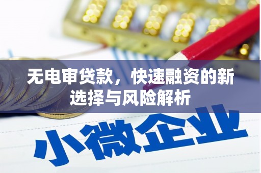 芦山无电审贷款，快速融资的新选择与风险解析