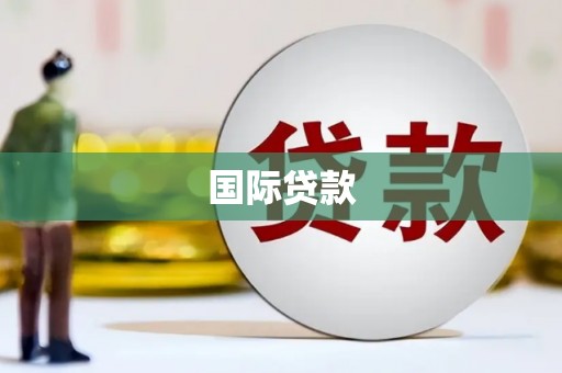 芦山国际贷款