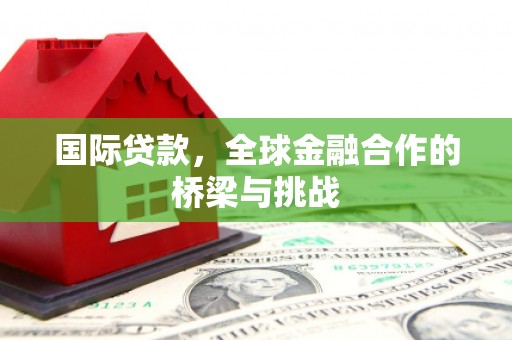 芦山国际贷款，全球金融合作的桥梁与挑战