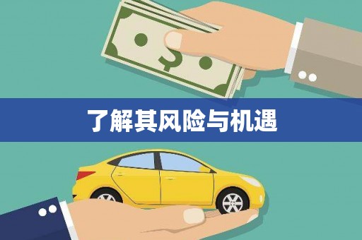 芦山了解其风险与机遇