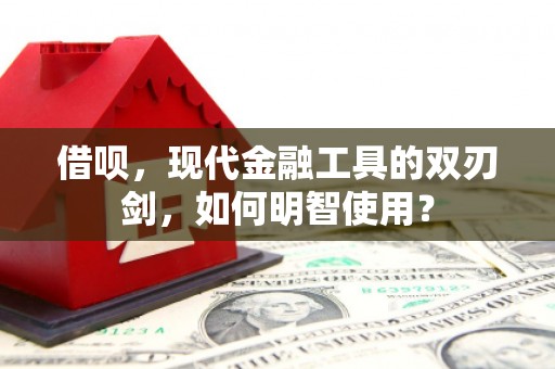 芦山借呗，现代金融工具的双刃剑，如何明智使用？