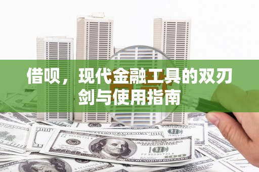 芦山借呗，现代金融工具的双刃剑与使用指南