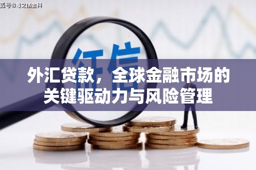 芦山外汇贷款，全球金融市场的关键驱动力与风险管理