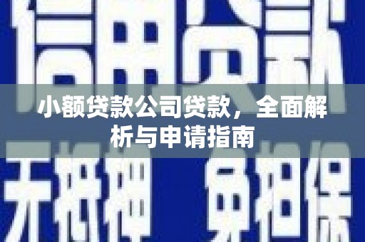 芦山小额贷款公司贷款，全面解析与申请指南