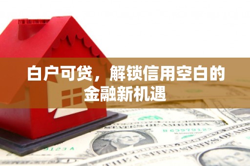 芦山白户可贷，解锁信用空白的金融新机遇