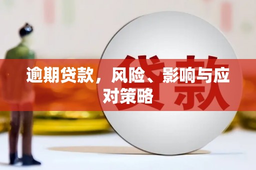 芦山逾期贷款，风险、影响与应对策略