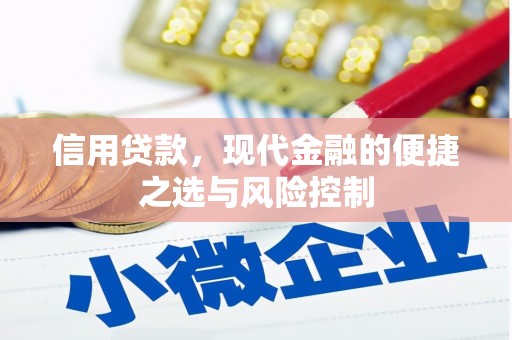 芦山信用贷款，现代金融的便捷之选与风险控制