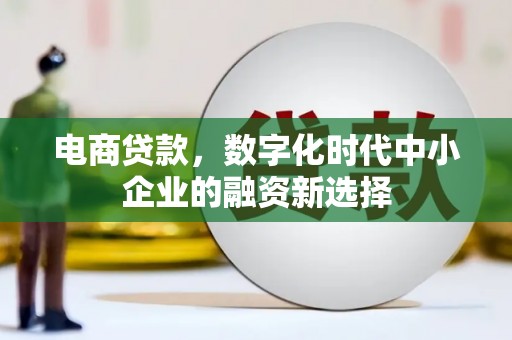 芦山电商贷款，数字化时代中小企业的融资新选择