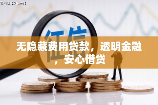 芦山无隐藏费用贷款，透明金融，安心借贷