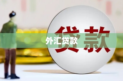 芦山外汇贷款