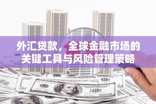 芦山外汇贷款，全球金融市场的关键工具与风险管理策略