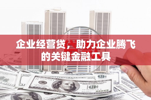 芦山企业经营贷，助力企业腾飞的关键金融工具