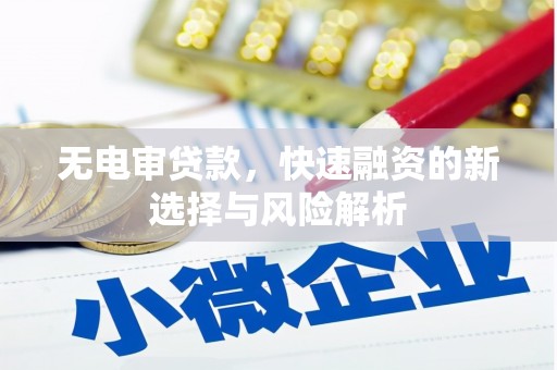 芦山无电审贷款，快速融资的新选择与风险解析