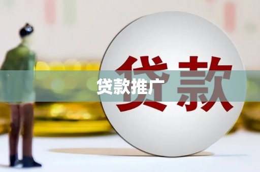 芦山贷款推广