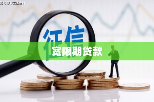 芦山宽限期贷款