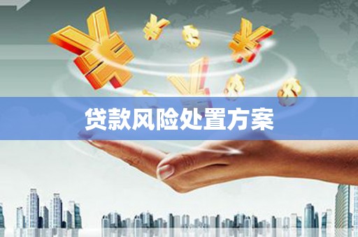 芦山贷款风险处置方案