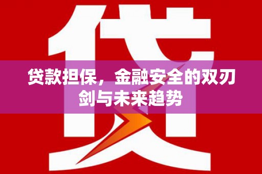 芦山贷款担保，金融安全的双刃剑与未来趋势