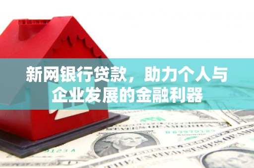 芦山新网银行贷款，助力个人与企业发展的金融利器