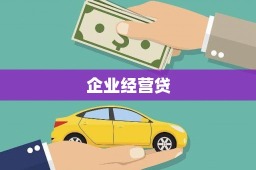 芦山企业经营贷