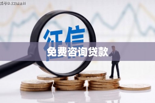 芦山免费咨询贷款