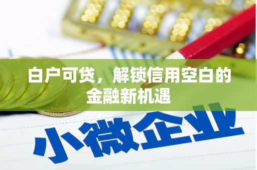 芦山白户可贷，解锁信用空白的金融新机遇