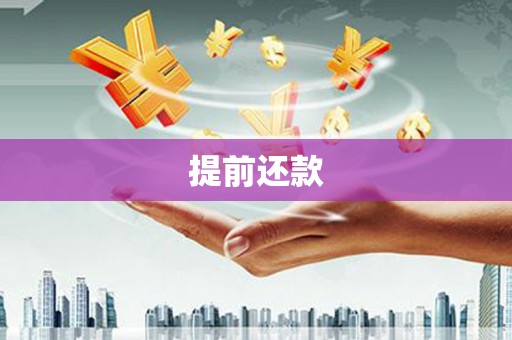 芦山提前还款