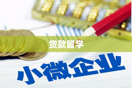 芦山贷款留学