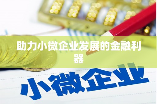 芦山助力小微企业发展的金融利器
