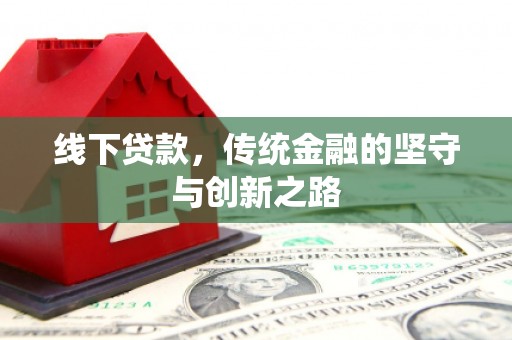 芦山线下贷款，传统金融的坚守与创新之路