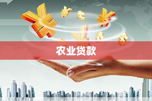 芦山农业贷款