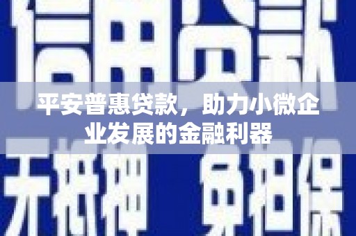芦山平安普惠贷款，助力小微企业发展的金融利器