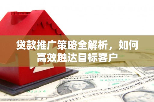 芦山贷款推广策略全解析，如何高效触达目标客户
