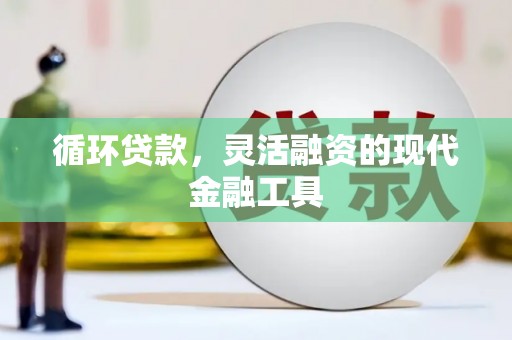芦山循环贷款，灵活融资的现代金融工具