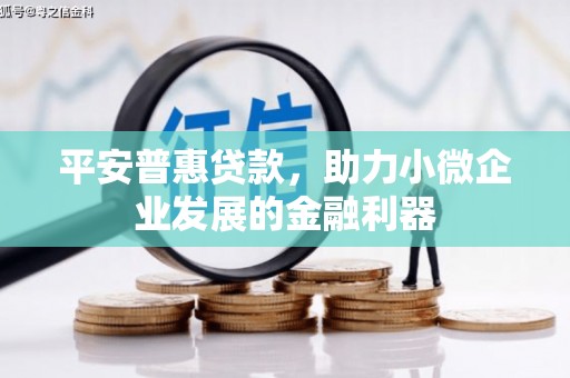 芦山平安普惠贷款，助力小微企业发展的金融利器