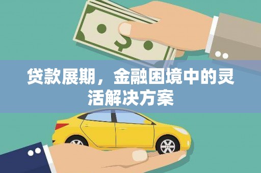 芦山贷款展期，金融困境中的灵活解决方案