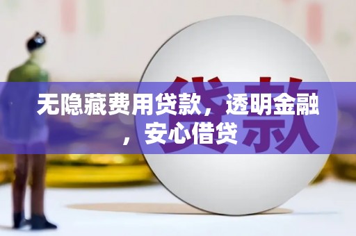 芦山无隐藏费用贷款，透明金融，安心借贷