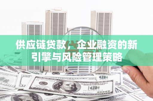 芦山供应链贷款，企业融资的新引擎与风险管理策略