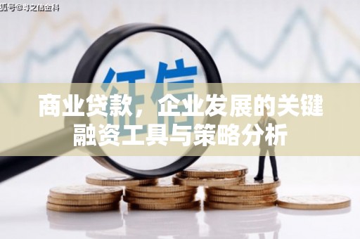 芦山商业贷款，企业发展的关键融资工具与策略分析