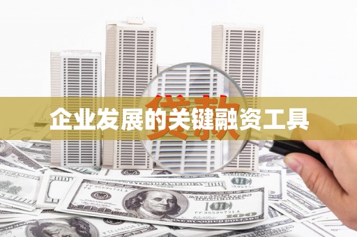 芦山企业发展的关键融资工具