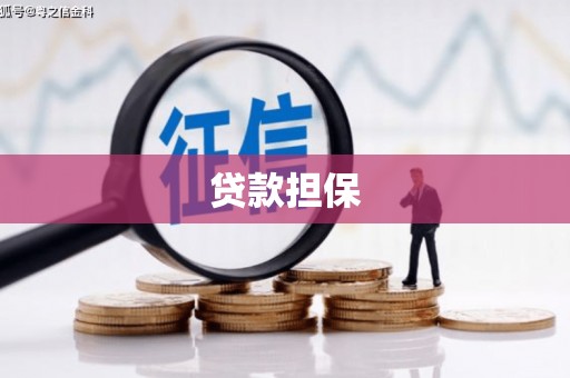 芦山贷款担保
