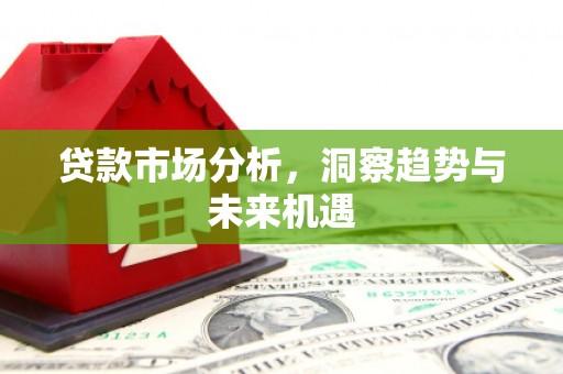 芦山贷款市场分析，洞察趋势与未来机遇